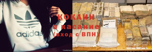 твердый Алексеевка
