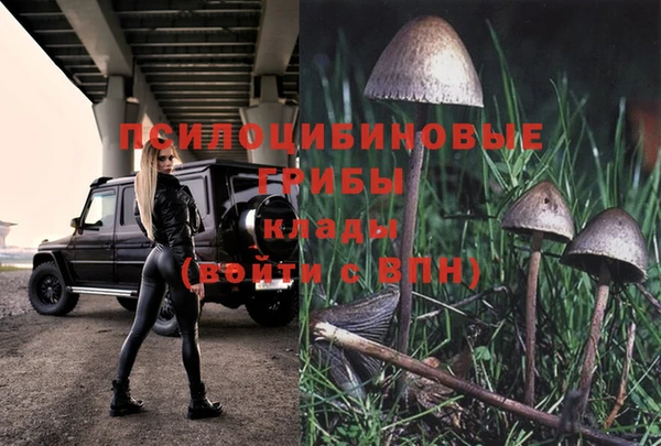 твердый Алексеевка