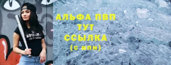 тгк Алзамай