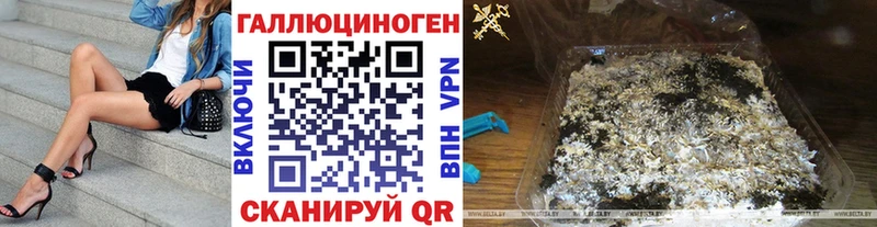 хочу Шелехов Галлюциногенные грибы Psilocybine cubensis