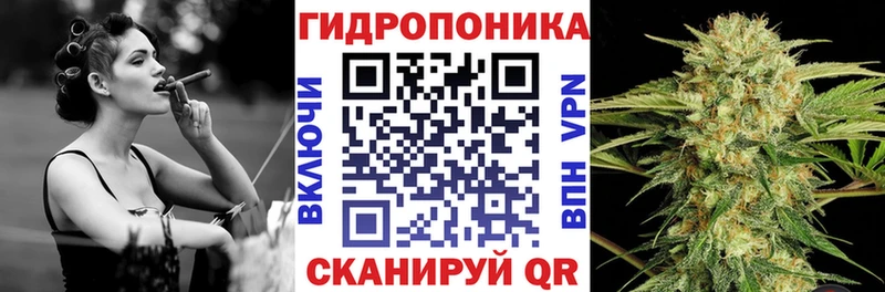 Шишки марихуана VHQ  Шелехов 